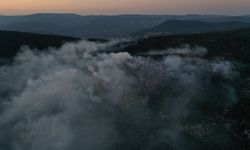 GÜNCELLEME - Sinop'ta çıkan orman yangınına müdahale ediliyor