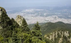 Her ilde var, Bursa’da 4 yıldır yok!