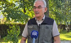 'YANGINLARIN NEDENİ İHMAL VE DİKKATSİZLİK'