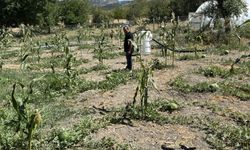 Karabük'te karpuz hasadı etkinliği düzenlendi