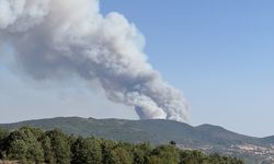 Karabük'te ormanlık alanda çıkan yangına müdahale ediliyor