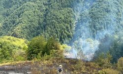 Kastamonu'da bir evde çıkarak ormanlık alana sıçrayan yangın söndürüldü
