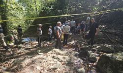 Ordu'da fındık toplarken yamaçtan düşen kişi öldü