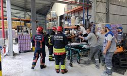 Ordu'da kolunu paketleme makinesine sıkıştıran işçi ağır yaralandı