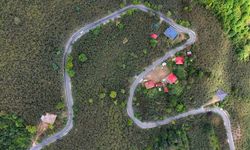 Ordu'da yol çalışması
