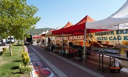 Osmancık, geleneksel Pırlanta Pirinç Kültür ve Sanat Festivali'ne hazırlanıyor