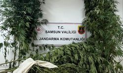 Samsun'da 1 kilo 354 gram kubar esrar ele geçirildi