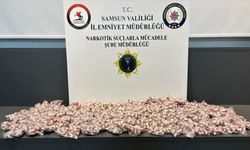 Samsun'da 11 bin 300 sentetik ecza hapı ele geçirildi