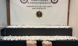Samsun'da ahıra saklanan 53 bin 872 sentetik ecza hapı ele geçirildi