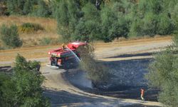 Samsun'da anız yangınlarında yaklaşık 620 dekar tarım arazisi zarar gördü