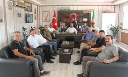 Samsun'da çeltik hasadı bu yıl gecikmeli başlayacak