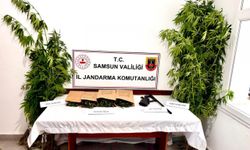 Samsun'da uyuşturucu operasyonunda 1 zanlı yakalandı
