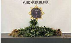 Samsun'da uyuşturucu operasyonunda 10 kişi yakalandı