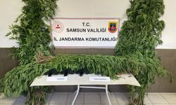 Samsun'da uyuşturucu operasyonunda 2 zanlı yakalandı