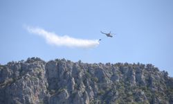 Sinop'ta büyük ölçüde kontrol altına alınan orman yangınına müdahale sürüyor