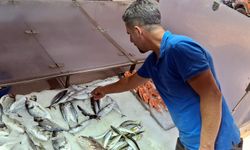 Sinop'ta palamutlar tanesi 350 liradan tezgahlarda satışa sunuldu