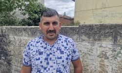Tokat'ta kereste fabrikasındaki iki tilki cep telefonuyla görüntülendi