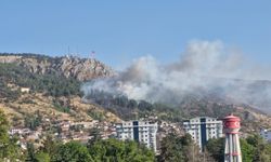 Tokat'ta ormanlık alanda çıkan yangına müdahale ediliyor