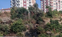 Trabzon'da ağaçlık alanda çıkan yangın söndürüldü