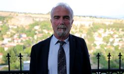 Uzmanından "Türkiye'deki güneşlenme miktarının artması, orman yangınlarını çoğaltıyor" değerlendirmesi