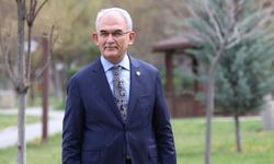 Yanan orman alanları, iklime, toprağa ve rakıma uygun ağaçlandırılıyor
