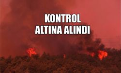KARADENİZ EREĞLİ'DE YANGIN...