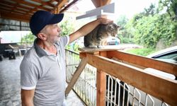 Yaşama tutunmalarını sağladığı kedilerin bakımını aksatmıyor