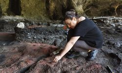 MİDE RAHATSIZLIĞI İÇİN KÖMÜR KULLANMIŞLAR