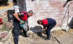Amasya'da su borusuna sıkışan köpek yavruları kurtarıldı