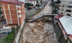 Artvin Borçka'da tarihi kesmetaş köprü yoğun yağış nedeniyle çöktü