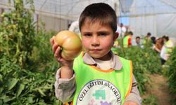 Bayburt'ta özel öğrenciler okul bahçesinde yetiştirilen sebzeleri hasat etti