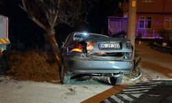 Bolu'da ağaca çarpan otomobildeki 2 kişi yaralandı