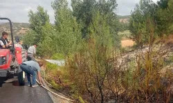 Bursa Yenişehir’de alevler ormana ulaşmadan söndürüldü