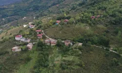 Çamaş’ta 4 mahalleye hitap eden grup yolu asfaltla buluştu