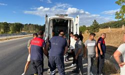 Çorum'da devrilen otomobildeki 2 kişi yaralandı