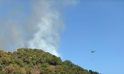 Düzce'de çıkan orman yangınına müdahale ediliyor