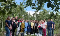 Düzce'de fındığın verim ve kalitesi artırılacak