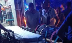 Düzce'de tarım aracının şarampole devrilmesi sonucu 10 kişi yaralandı