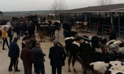 Edirne Keşan'da canlı hayvan pazarı kapatıldı