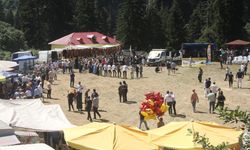 Güce'de 'Bal Festivali' düzenlendi