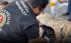Gümrük kapılarında uyuşturucuya dev darbe!