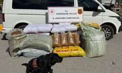 Gümüşhane'de kaçak tütün ele geçirildi