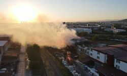 GÜNCELLEME 2 - Samsun'da kereste fabrikasında çıkan yangın söndürüldü