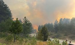 Karabük'te çıkan orman yangınına müdahale ediliyor