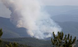 Kastamonu-Karabük sınırında çıkan ikinci yangına müdahale ediliyor
