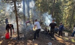 Kastamonu'da çıkan orman yangını söndürüldü