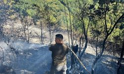 Kastamonu'da çıkan yangın ormanlık alana sıçramadan söndürüldü