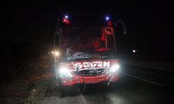 Kastamonu'da otobüs ve cipin kara yolunda çarptığı 3 inek telef oldu