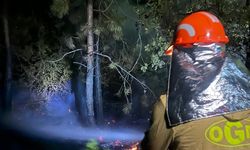 Kastamonu'daki örtü yangını söndürüldü