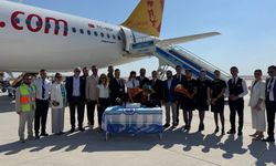 Pegasus Hatay uçuşlarına yeniden başladı